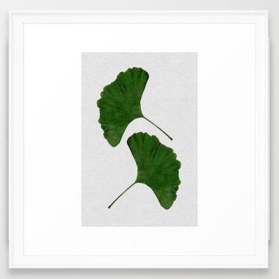 Ginkgo Leaf II Framed Art Print