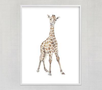 Baby Giraffe Watercolor Wall Art by Lauren Rogoff with frame