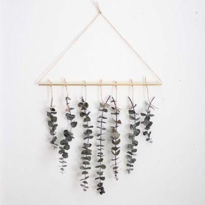 Pauline Stanley Studio Eucalyptus Wall Hanging Kit