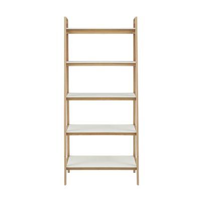 Yesenia Ladder Bookcase