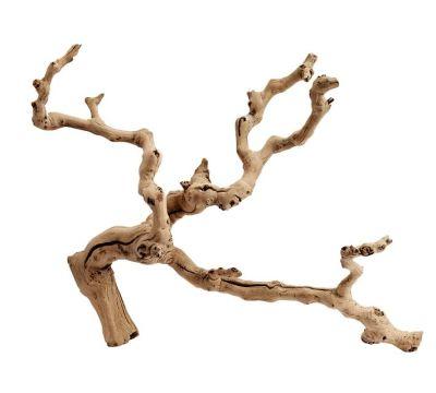 Dried Grapewood Branch - Natural - One