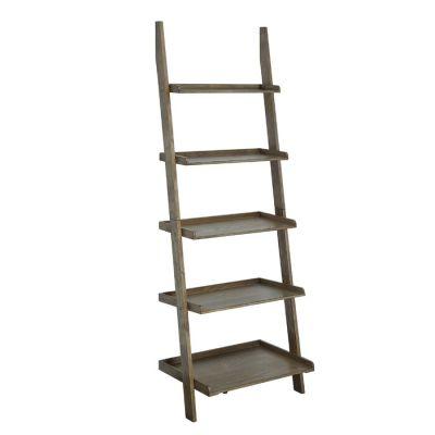 Raquette Ladder Bookcase