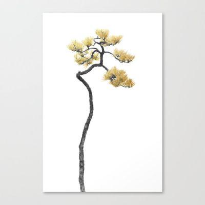 Bonsai Tree V Canvas Print