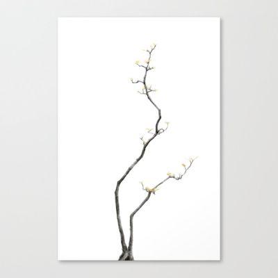 Bonsai Tree III Canvas Print