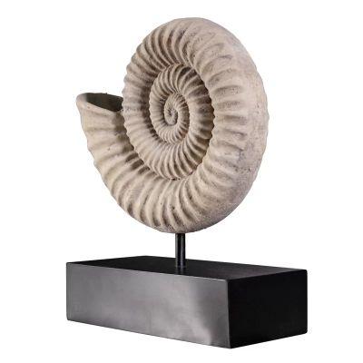 Ammonite Fossil Sculpture on Museum Mount Sculpture