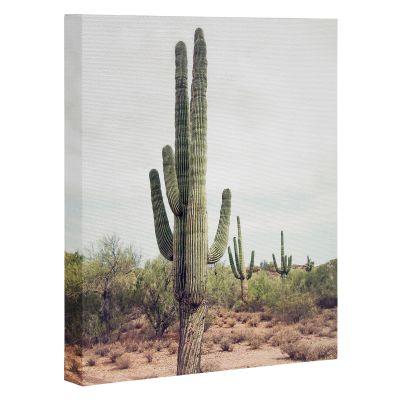 Canvas Cactus Land