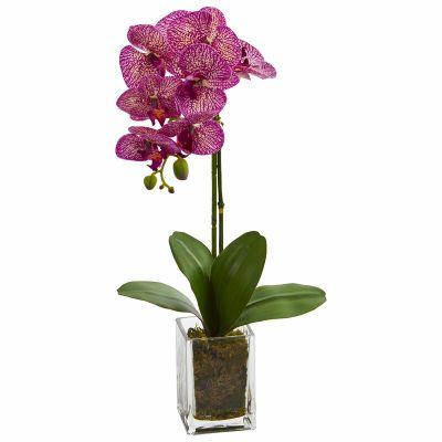 Orchid Floral Arrangement in Vase