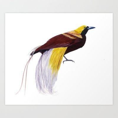 Bird From Paradise Art Print