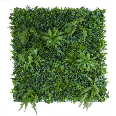 Variegated Wall Ivy Grass