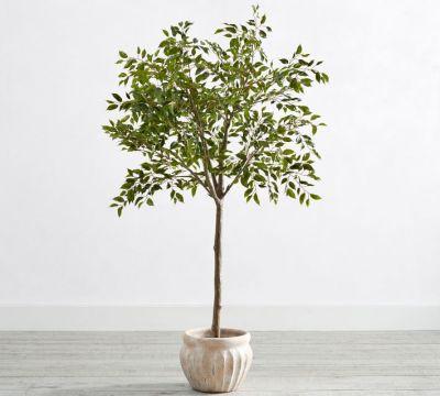 Faux Potted Triangular Ficus