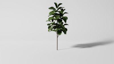 Faux Potted Fiddle Leaf Fig Tree