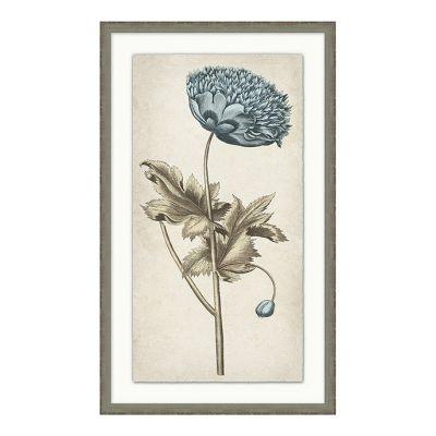 SCENTS OF BLUE ART PRINT 2 WITH FRAME
