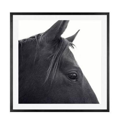 Dark Horse in Profile Print by Jennifer Meyers With Frame