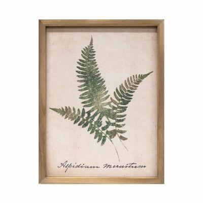 Botanical Prints Print on Wood With Frame