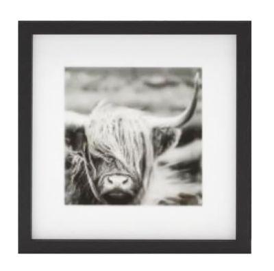 Gallery Grid Kit Black Instapoints With Frame