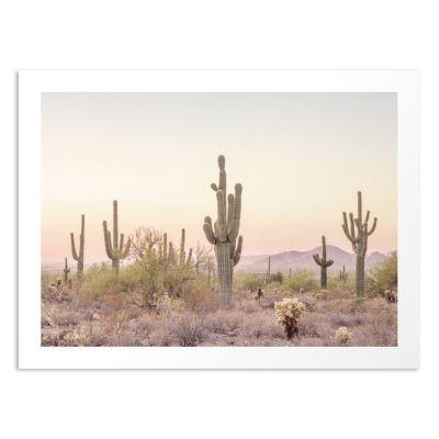 Arizona Desert Art Print unframe