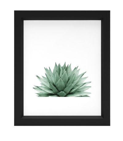 Agave Green Summer Vibes Art Print With Frame
