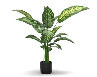 Faux Dieffenbachia Plant