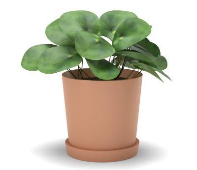 Faux Pilea Peperomioides