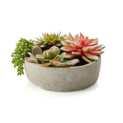 Artificial Succulents in Low Round Pot