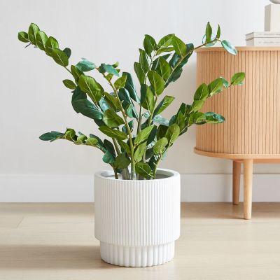 Faux Potted ZZ Plant and Fluted White Ceramic Floor Planter Set