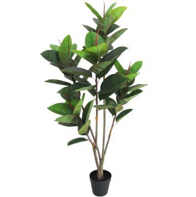 Rubber Tree and Small Fluted Planter Bundle